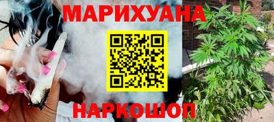 крисы Кохма