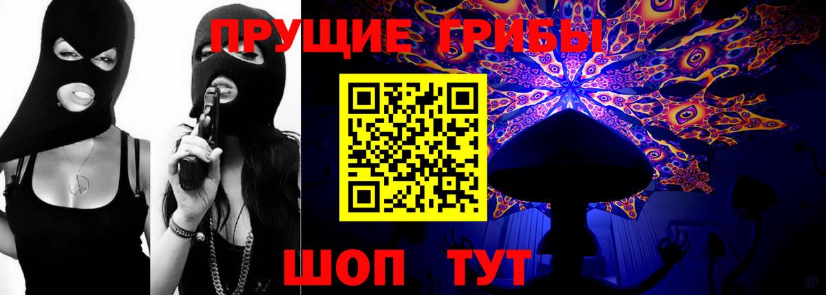 Псилоцибиновые грибы мицелий Ефремов