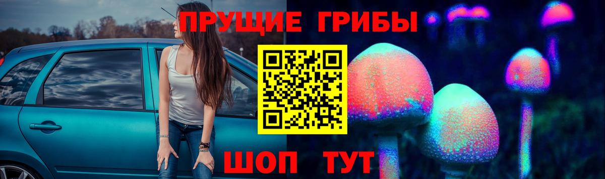 Галлюциногенные грибы MAGIC MUSHROOMS  Вход с VPN  Ефремов  Галлюциногенные грибы ЛСД 